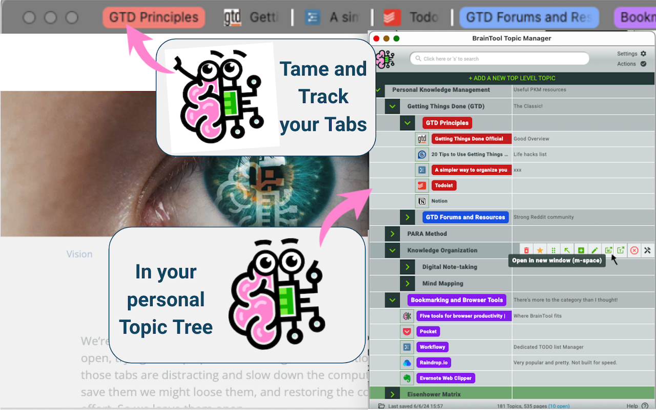 BrainTool Tabs and Topics